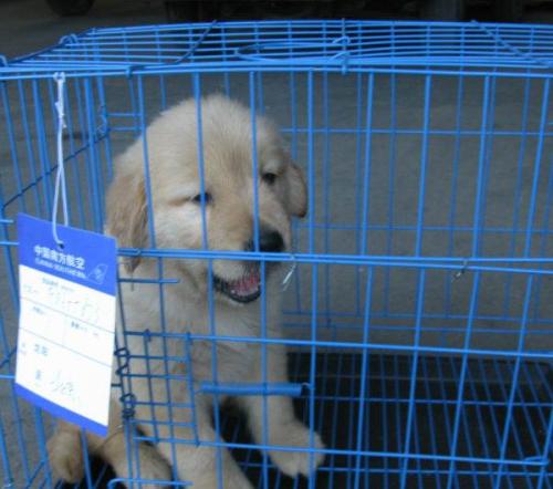 化工品國際快遞,液體國際快遞