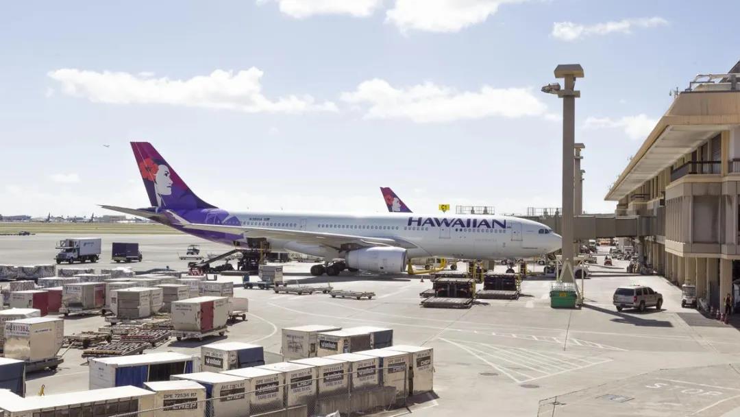 暫停所有進(jìn)出港航班！以色列爆發(fā)大規(guī)模抗議……